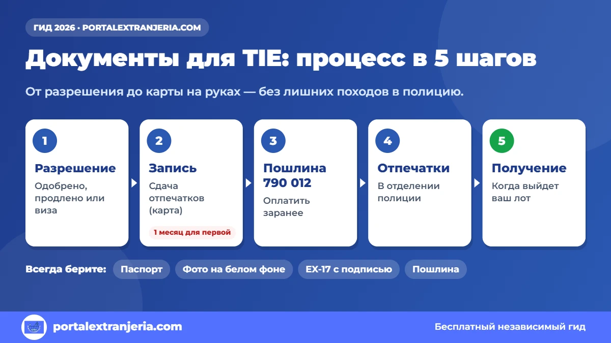 Документы для TIE: 5 шагов от разрешения до получения карты